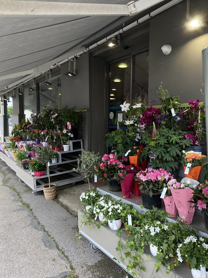 Étalage de fleurs et plantes devant la boutique
