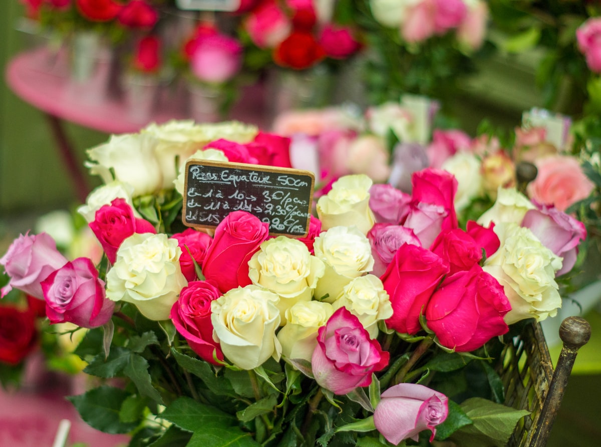 Roses colorées (photo d'illustration)